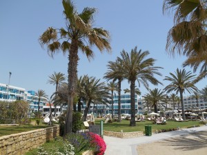 Paphos Hotels